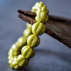 Melons chartreuse doré 8mm X10 Perles rondes verre tchèque opaque