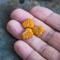 Feuille d'érable orange acidulé 13mm X4 Perles verre tchèque