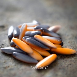 Daggers orange gris 16mm X10 Perles verre tchèque